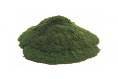 Pudra-chlorella-vrac-600x600